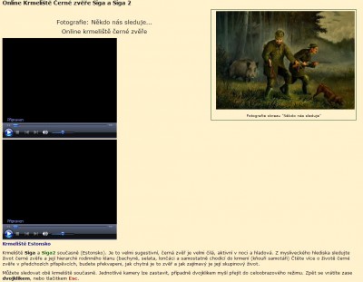 Screenshot přehrávačů videokamer v Chrome