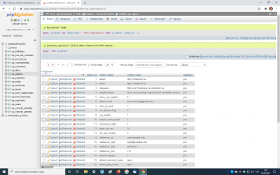 Snímek obrazovky (61).png